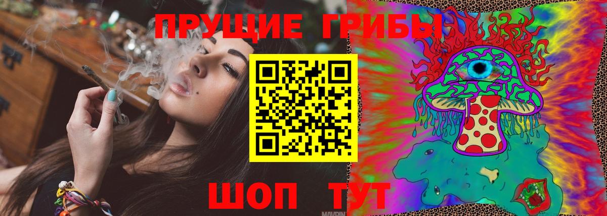 Тайшет  Галлюциногенные грибы GOLDEN TEACHER  Вход с VPN 