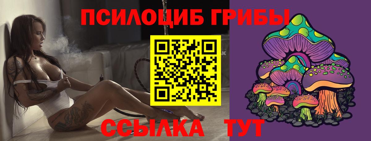Галлюциногенные грибы мицелий Тайшет